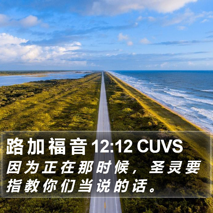 路 加 福 音 12:12 CUVS Bible Study