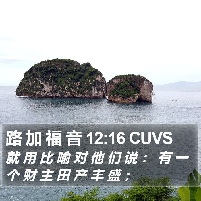 路 加 福 音 12:16 CUVS Bible Study