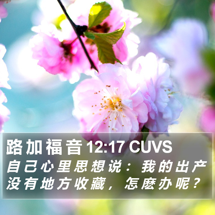 路 加 福 音 12:17 CUVS Bible Study