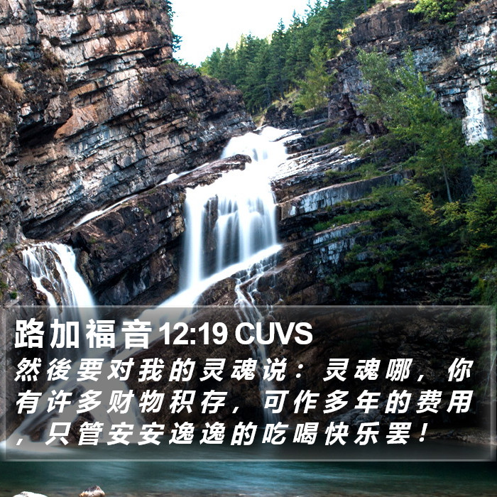 路 加 福 音 12:19 CUVS Bible Study