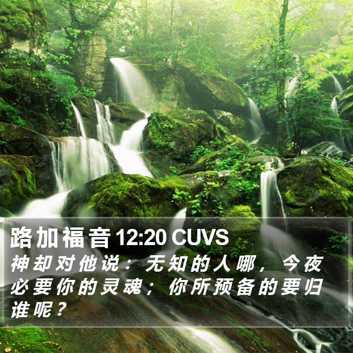 路 加 福 音 12:20 CUVS Bible Study