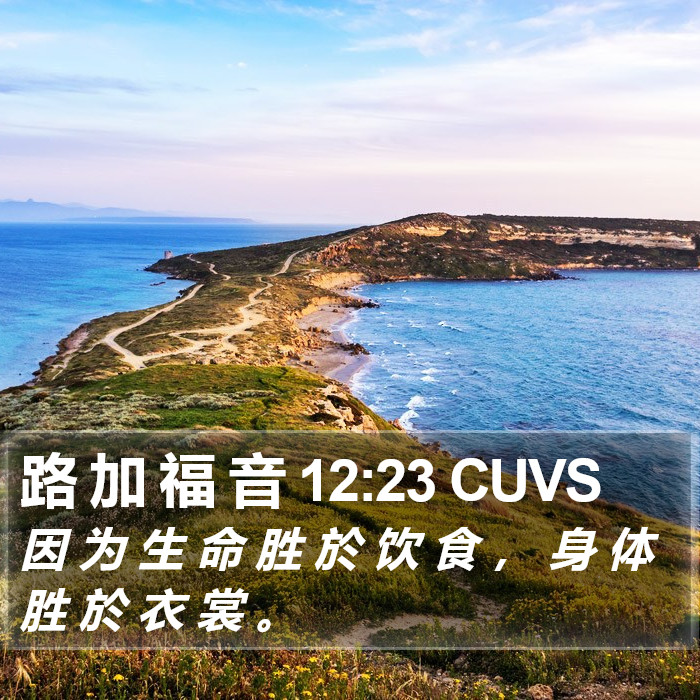 路 加 福 音 12:23 CUVS Bible Study