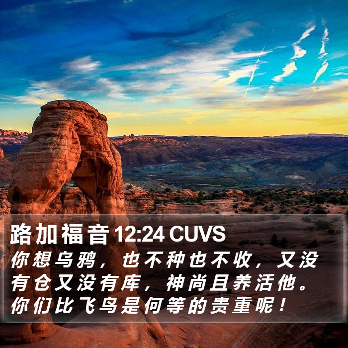 路 加 福 音 12:24 CUVS Bible Study