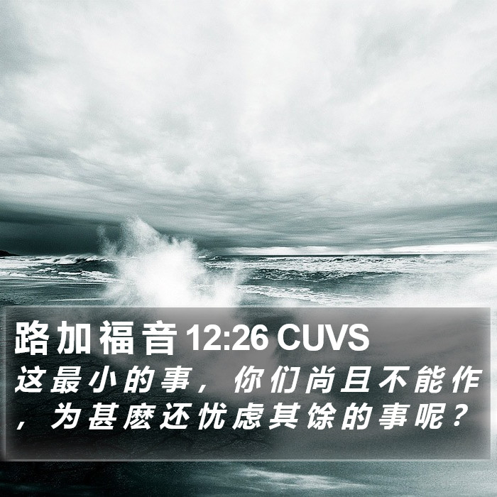 路 加 福 音 12:26 CUVS Bible Study