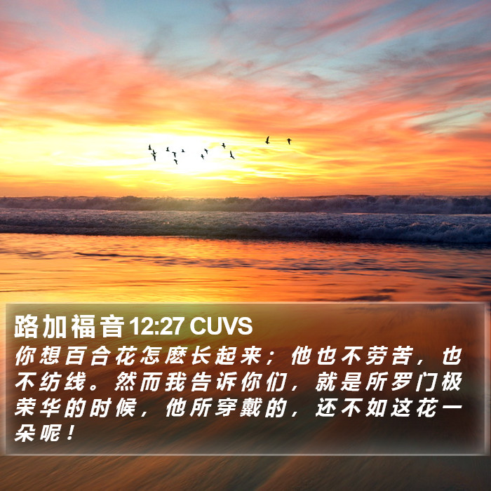 路 加 福 音 12:27 CUVS Bible Study