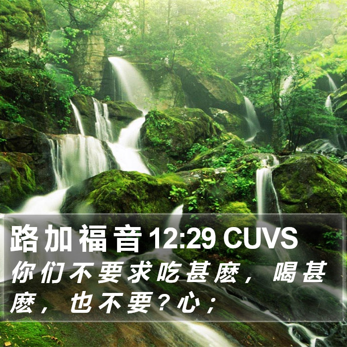 路 加 福 音 12:29 CUVS Bible Study