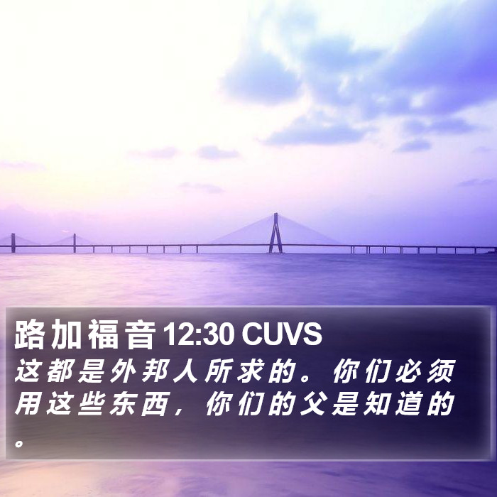 路 加 福 音 12:30 CUVS Bible Study