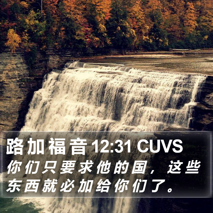 路 加 福 音 12:31 CUVS Bible Study