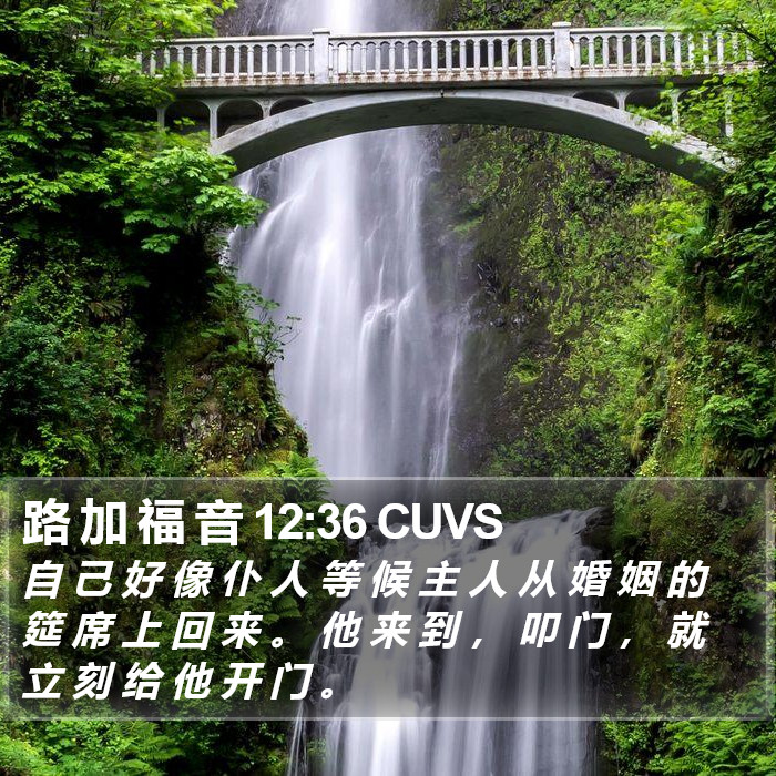 路 加 福 音 12:36 CUVS Bible Study