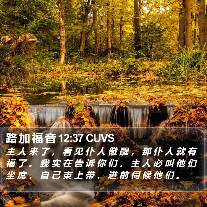 路 加 福 音 12:37 CUVS Bible Study