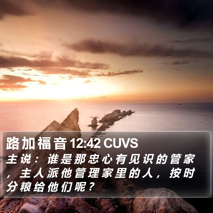 路 加 福 音 12:42 CUVS Bible Study