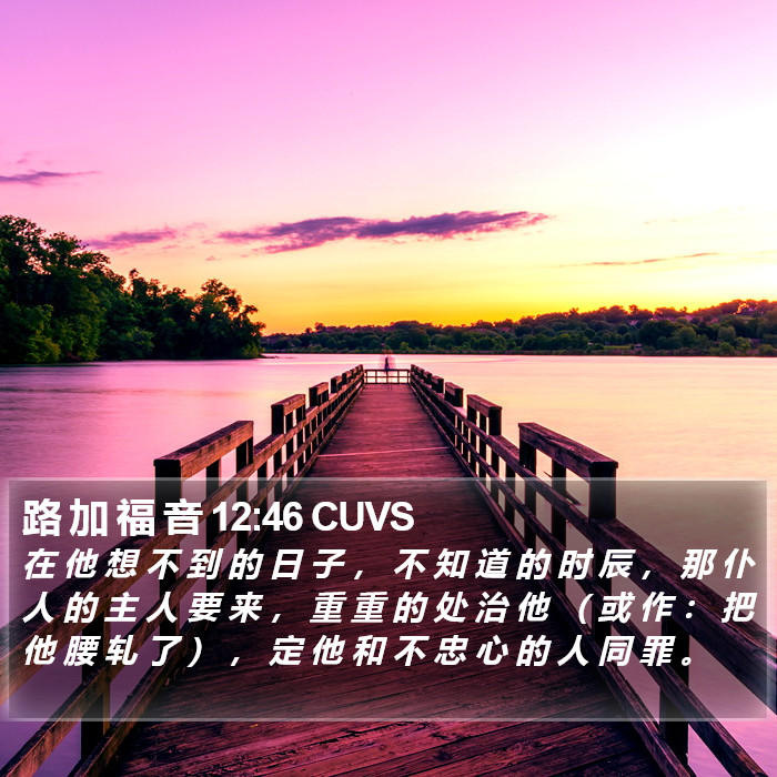 路 加 福 音 12:46 CUVS Bible Study