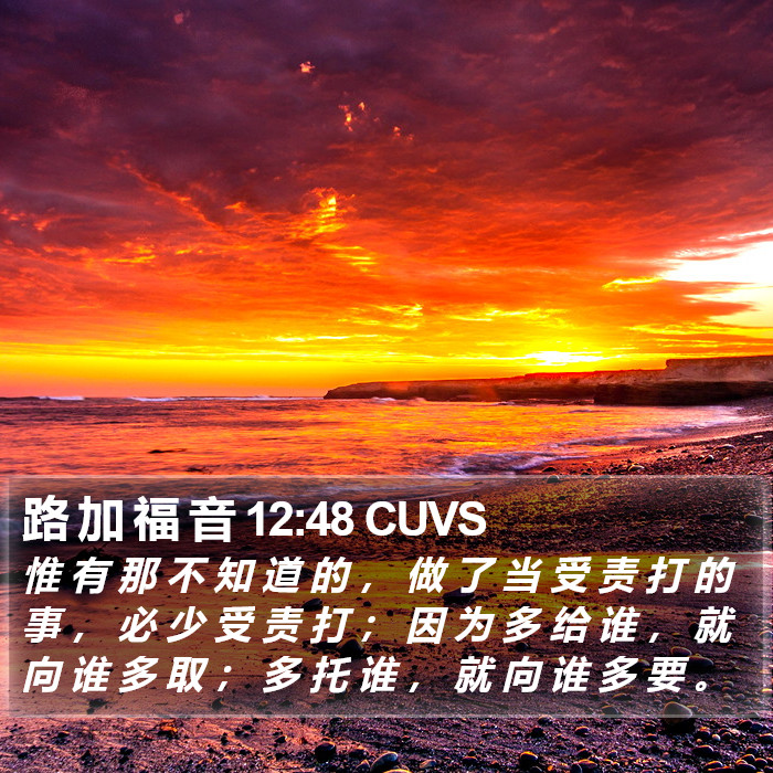 路 加 福 音 12:48 CUVS Bible Study