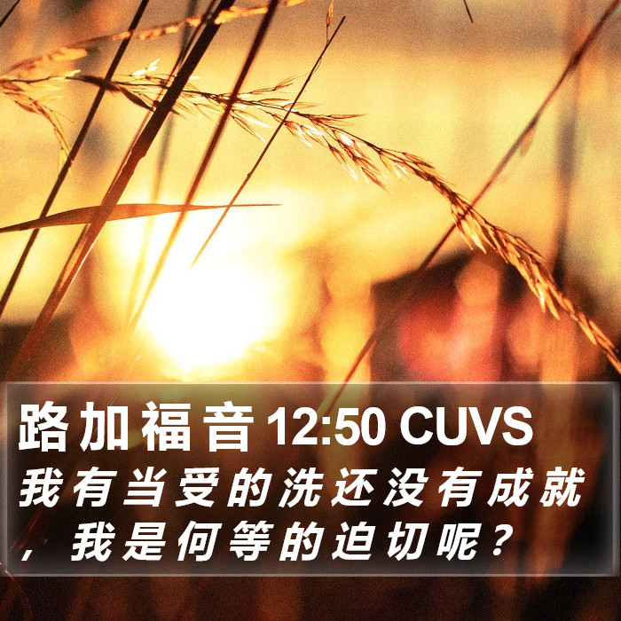 路 加 福 音 12:50 CUVS Bible Study