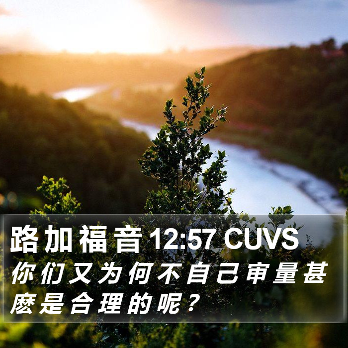 路 加 福 音 12:57 CUVS Bible Study