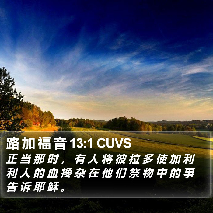 路 加 福 音 13:1 CUVS Bible Study