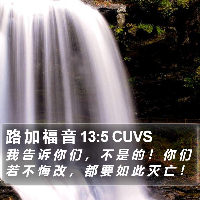 路 加 福 音 13:5 CUVS Bible Study