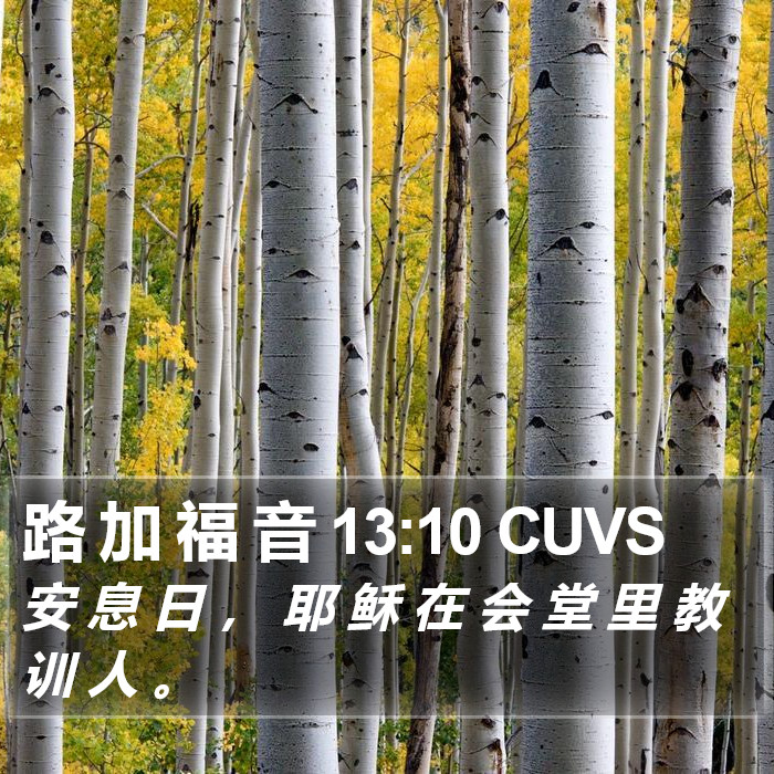 路 加 福 音 13:10 CUVS Bible Study