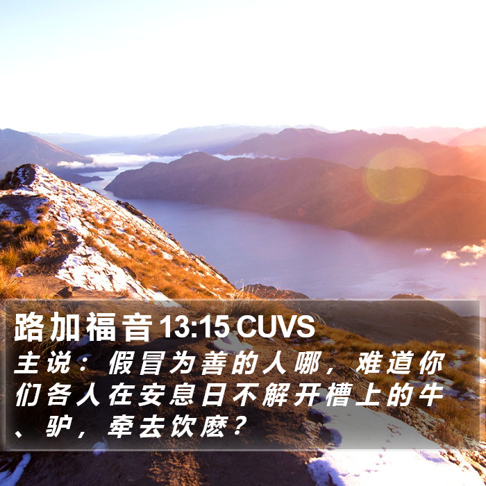 路 加 福 音 13:15 CUVS Bible Study