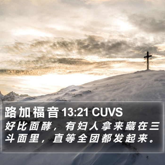 路 加 福 音 13:21 CUVS Bible Study