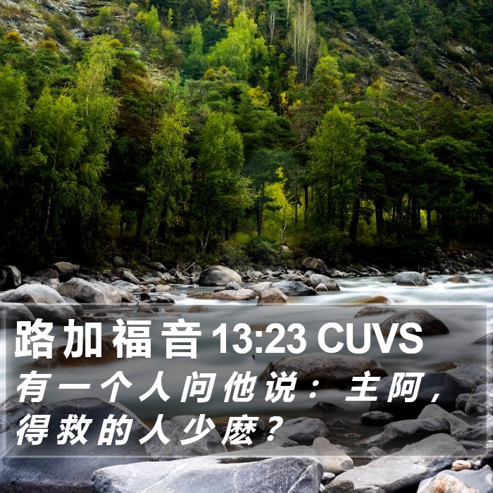 路 加 福 音 13:23 CUVS Bible Study