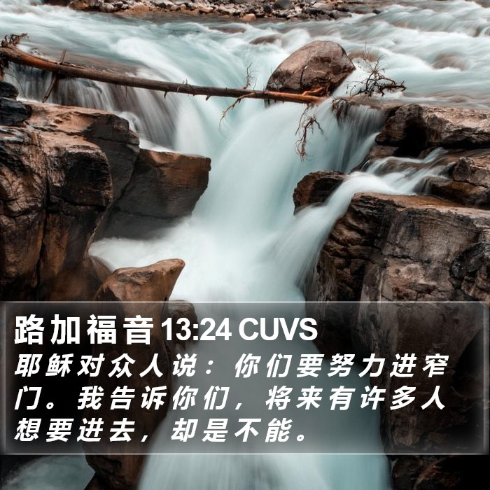 路 加 福 音 13:24 CUVS Bible Study