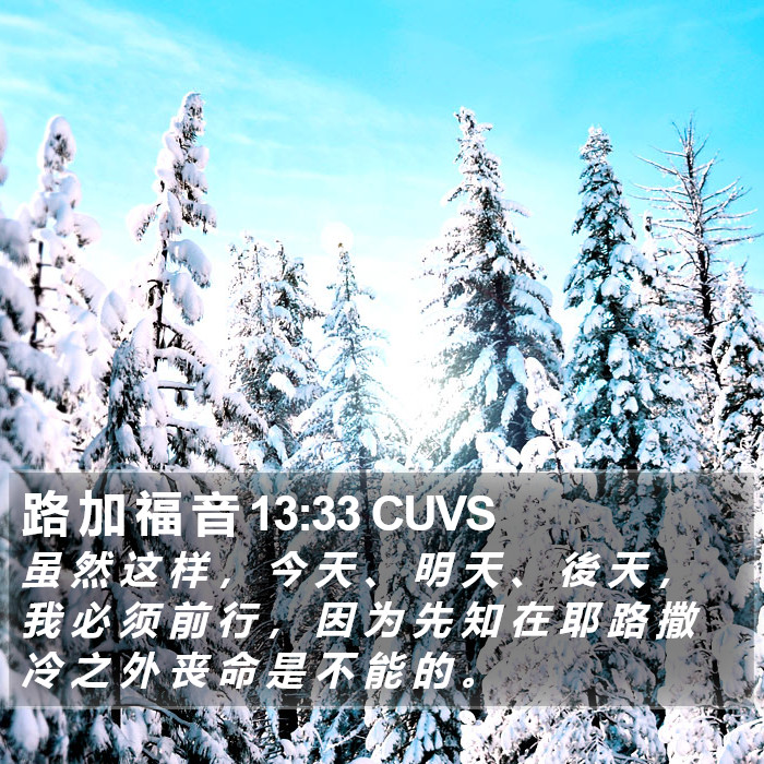 路 加 福 音 13:33 CUVS Bible Study