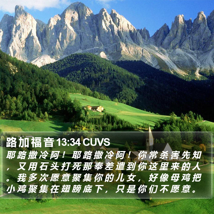 路 加 福 音 13:34 CUVS Bible Study