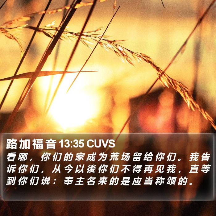 路 加 福 音 13:35 CUVS Bible Study