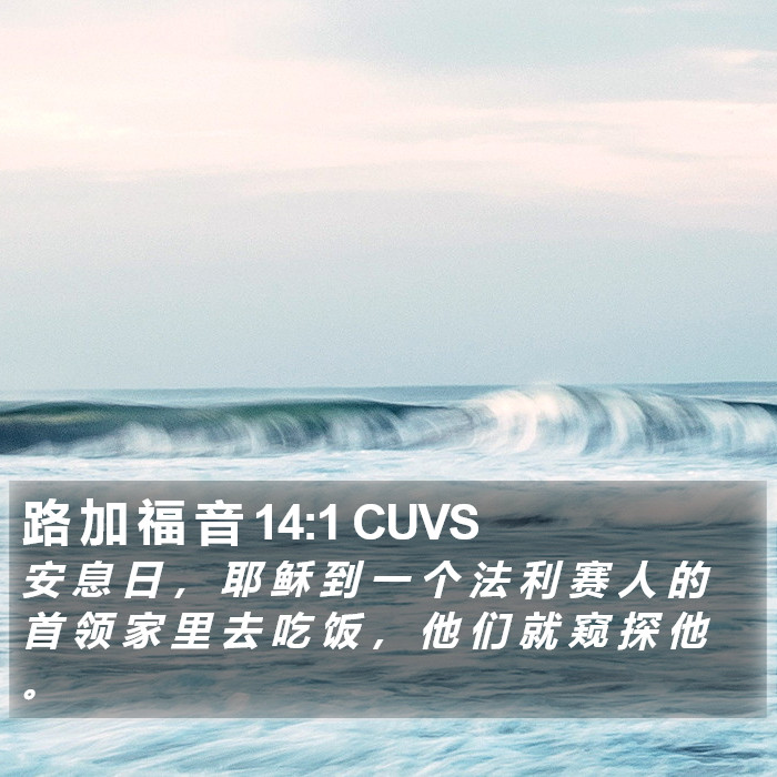 路 加 福 音 14:1 CUVS Bible Study