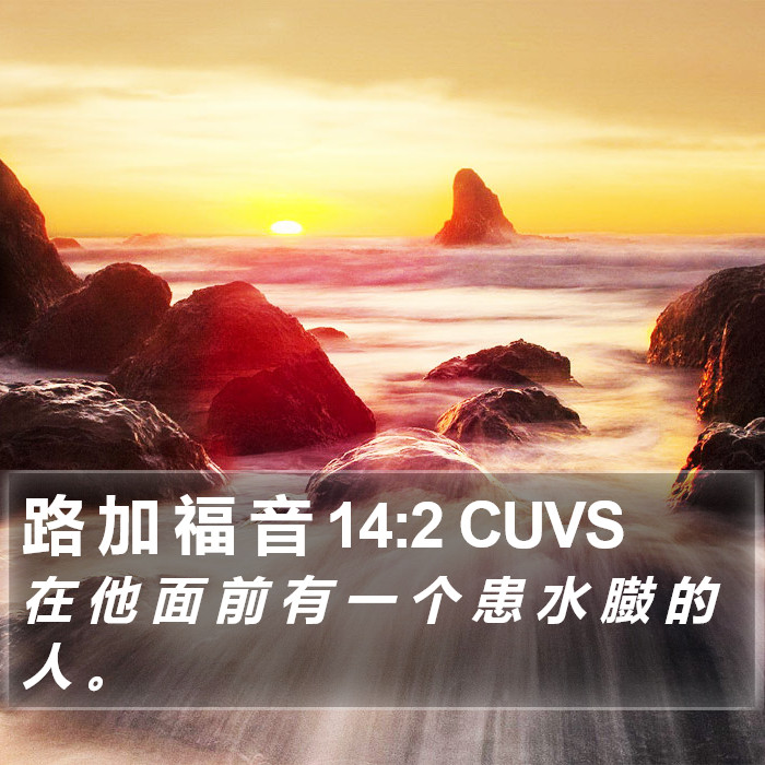 路 加 福 音 14:2 CUVS Bible Study