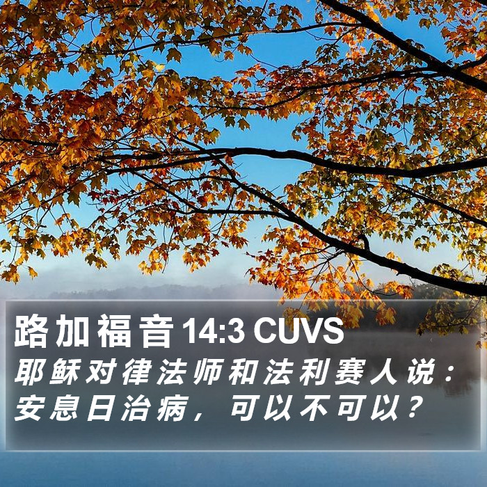 路 加 福 音 14:3 CUVS Bible Study