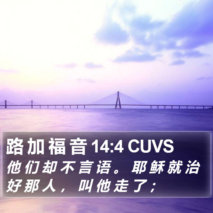 路 加 福 音 14:4 CUVS Bible Study