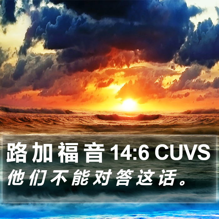 路 加 福 音 14:6 CUVS Bible Study