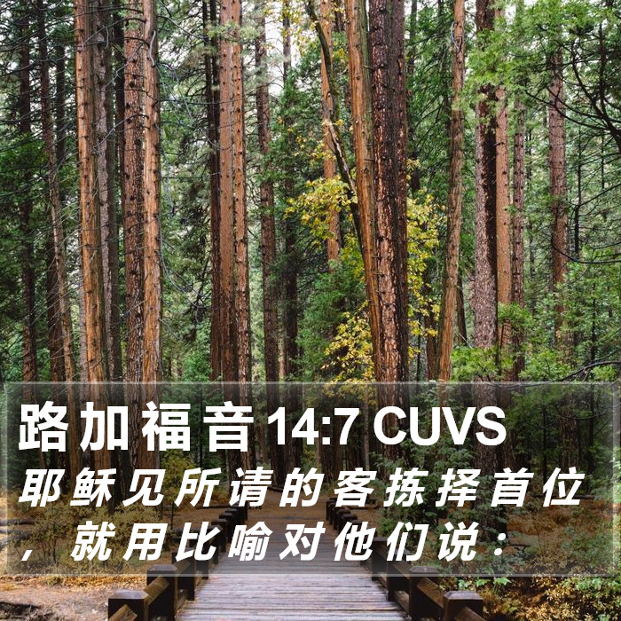 路 加 福 音 14:7 CUVS Bible Study