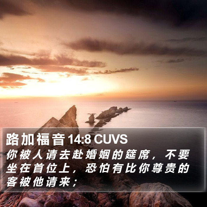 路 加 福 音 14:8 CUVS Bible Study