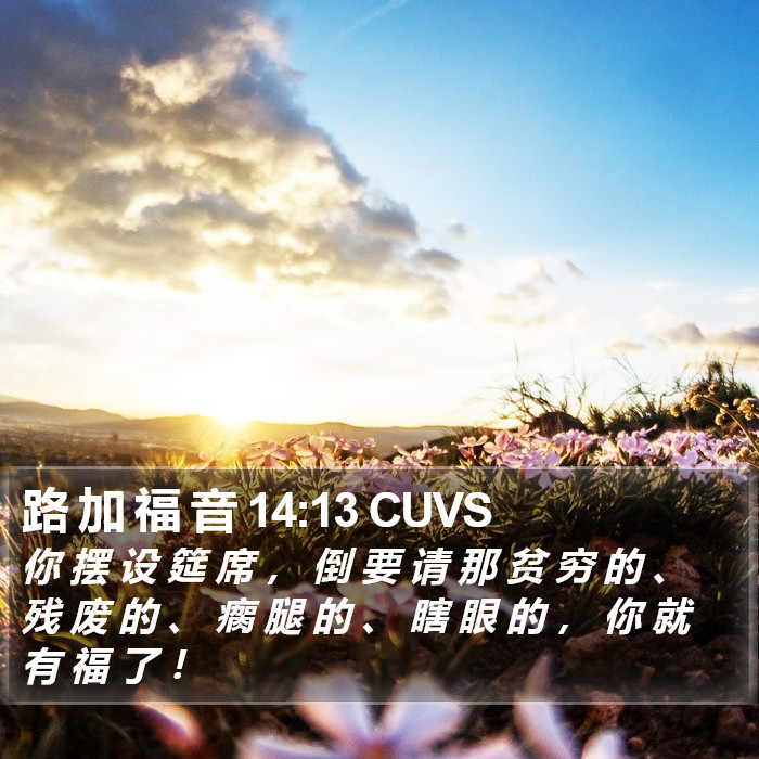 路 加 福 音 14:13 CUVS Bible Study