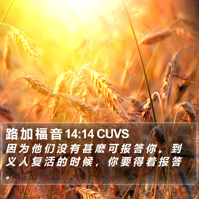 路 加 福 音 14:14 CUVS Bible Study