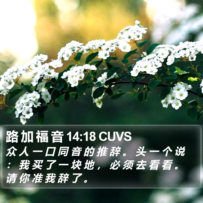 路 加 福 音 14:18 CUVS Bible Study