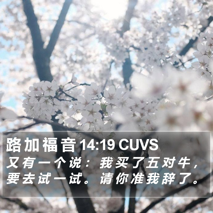 路 加 福 音 14:19 CUVS Bible Study