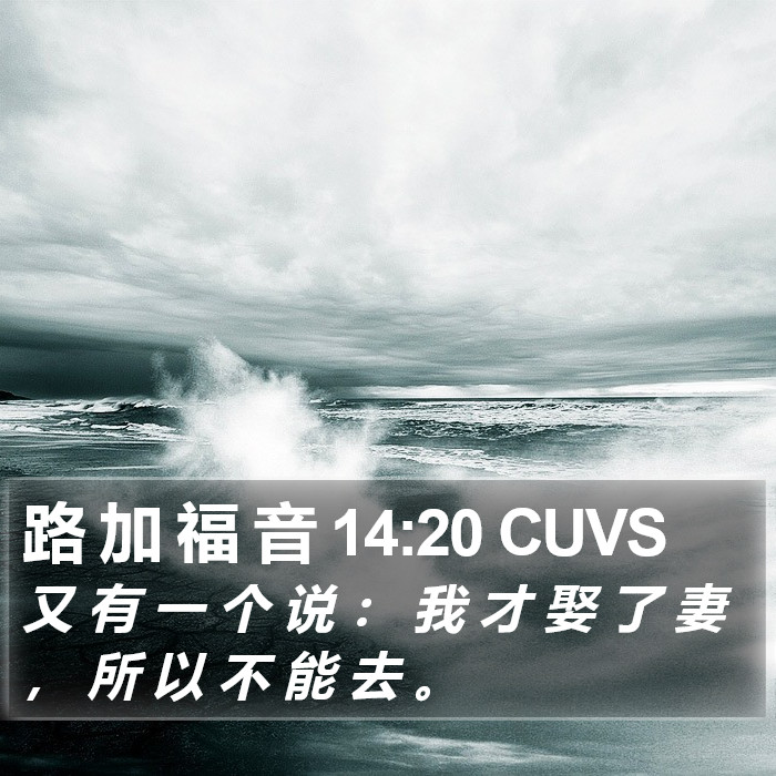 路 加 福 音 14:20 CUVS Bible Study