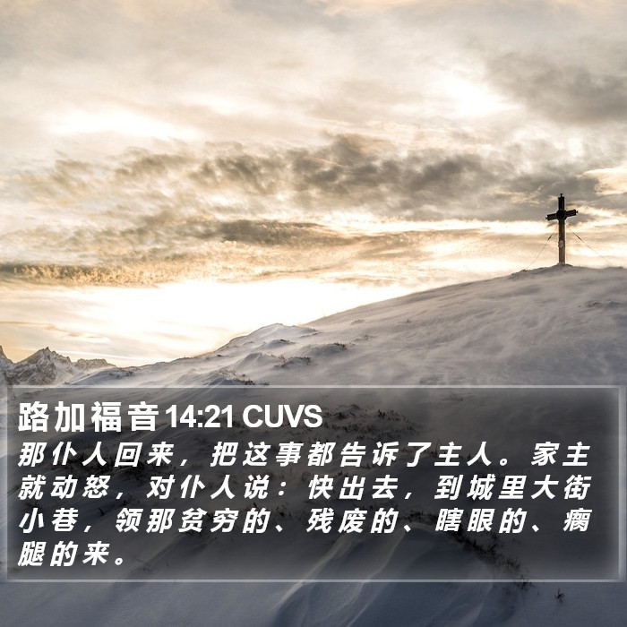 路 加 福 音 14:21 CUVS Bible Study