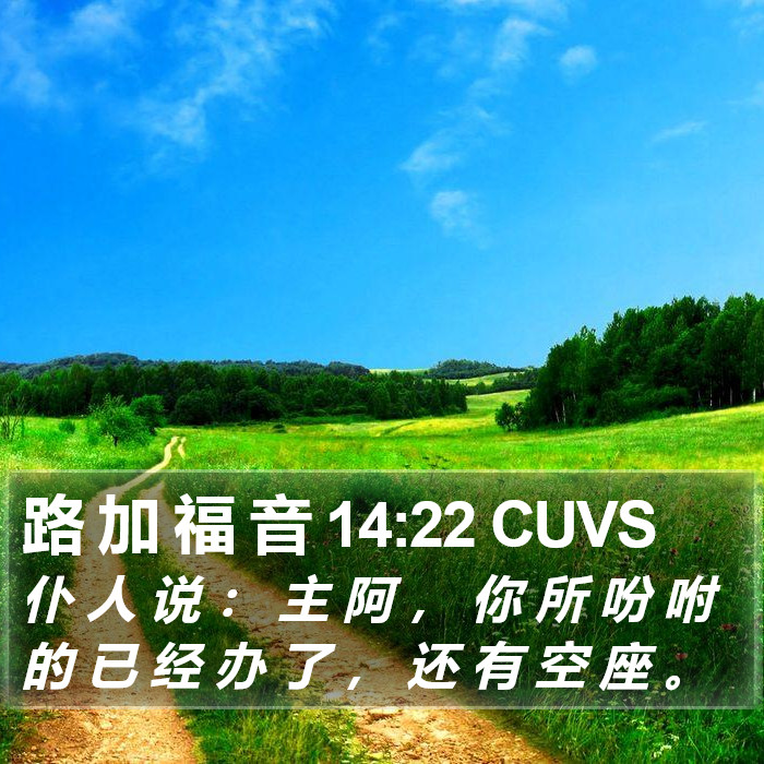 路 加 福 音 14:22 CUVS Bible Study