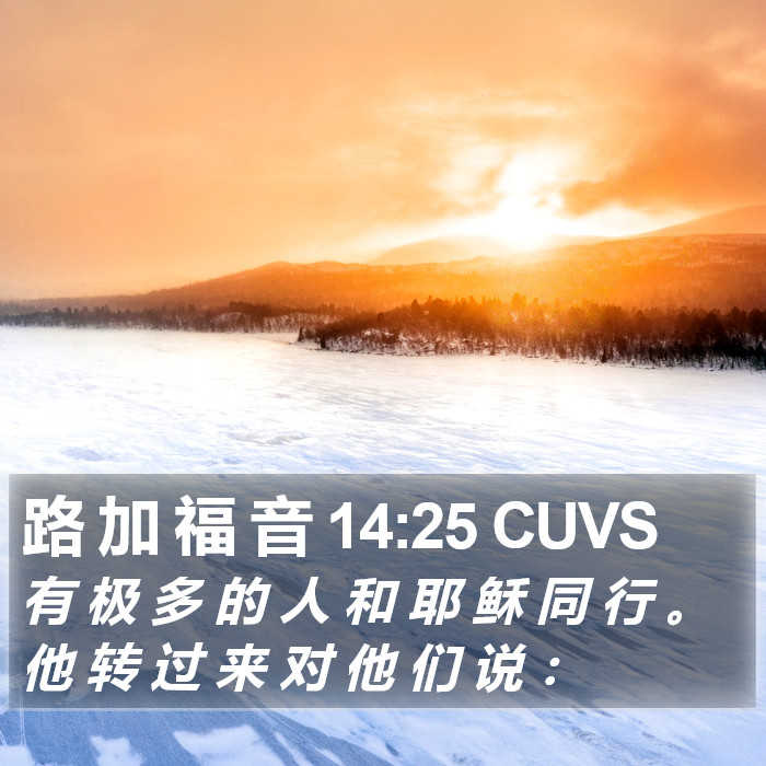 路 加 福 音 14:25 CUVS Bible Study