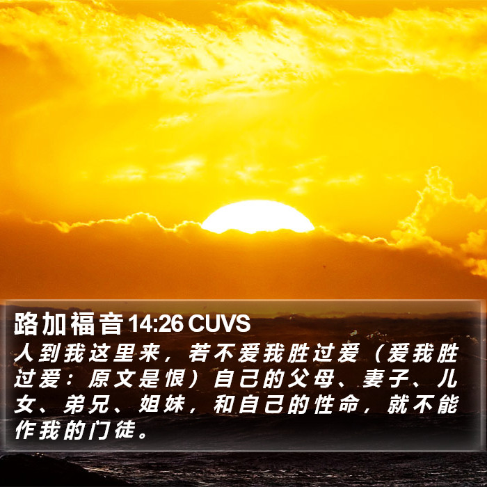 路 加 福 音 14:26 CUVS Bible Study