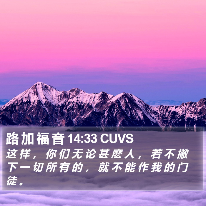 路 加 福 音 14:33 CUVS Bible Study