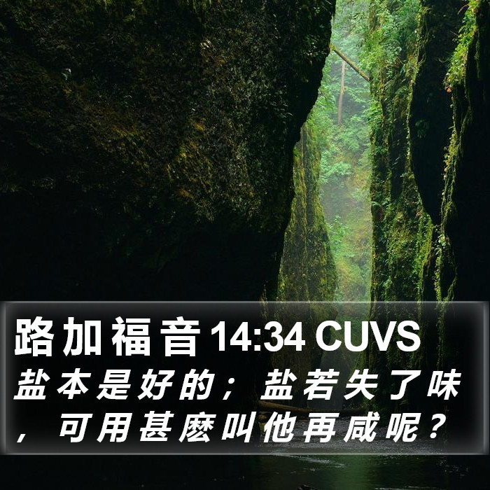 路 加 福 音 14:34 CUVS Bible Study