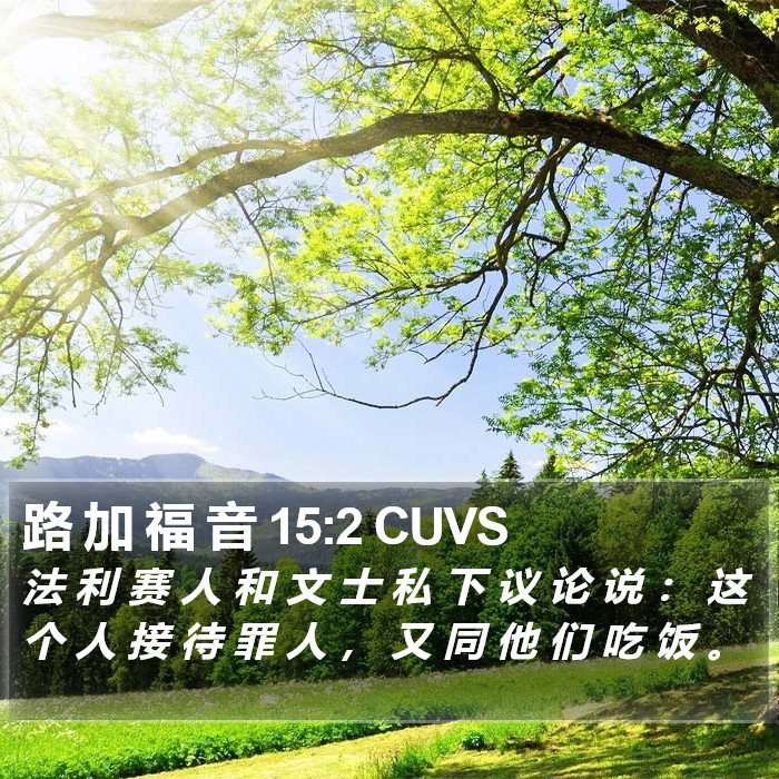 路 加 福 音 15:2 CUVS Bible Study