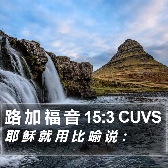 路 加 福 音 15:3 CUVS Bible Study