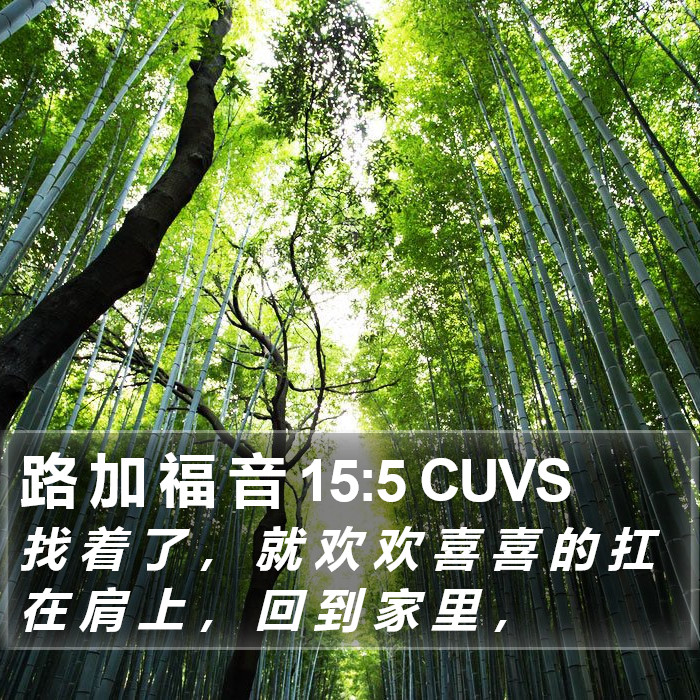 路 加 福 音 15:5 CUVS Bible Study